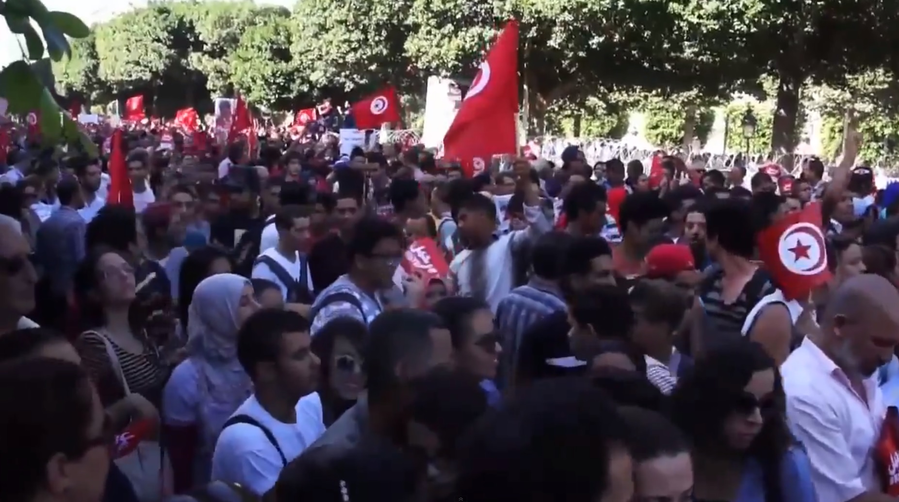 הפגנה נגד הממשלה בתוניסיה, אוקטובר 2013 (תמונה: יוטיוב)