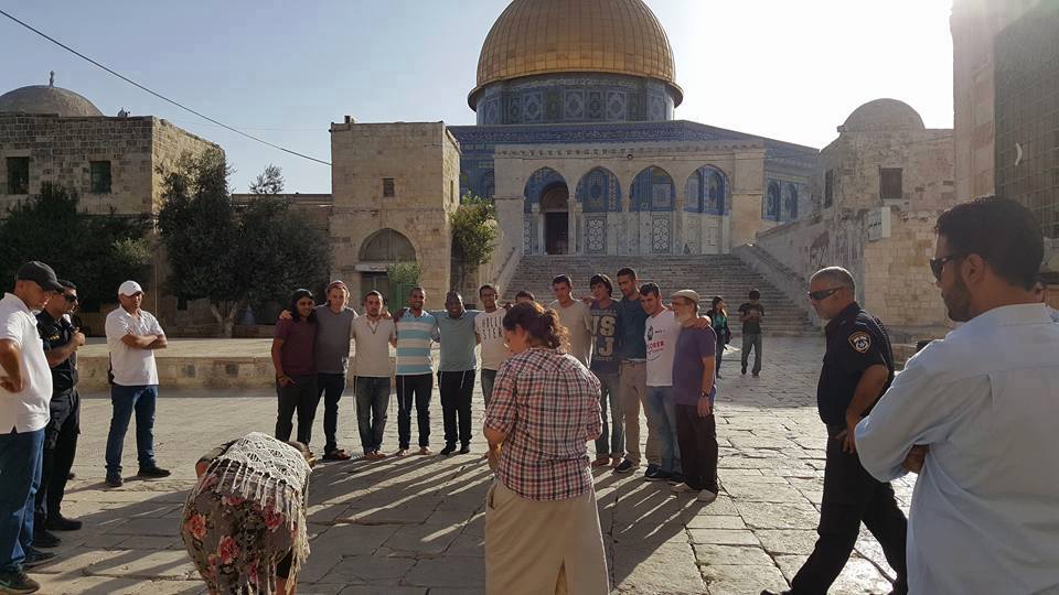 יהודים בהר הבית, ספטמבר 2015 (תמונה: אל-קודס אוולן)