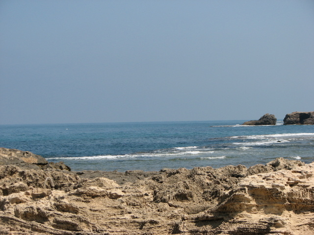 חוף דור (צילום: אסף דוד)