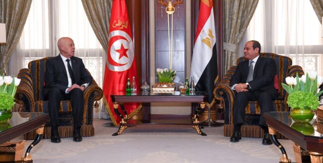 נשיא מצרים א-סיסי נועד עם מקבילו התוניסאי, סעיד, 2022. צילום: רויטרס