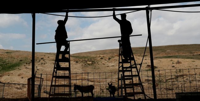 נערים ישראלים בחווה בקרבת ההתנחלות מצפה יריחו, 2020. צילום: רויטרס